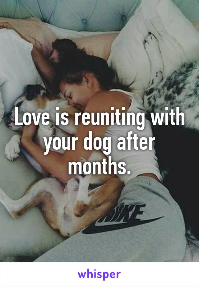 Love is reuniting with your dog after months.