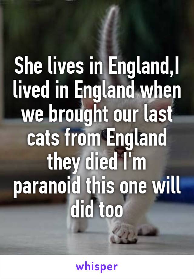 She lives in England,I lived in England when we brought our last cats from England they died I'm paranoid this one will did too