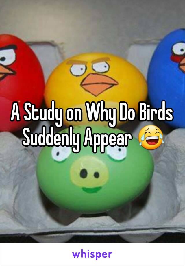 A Study on Why Do Birds Suddenly Appear 😂