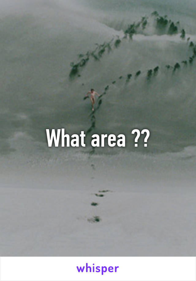 What area ??