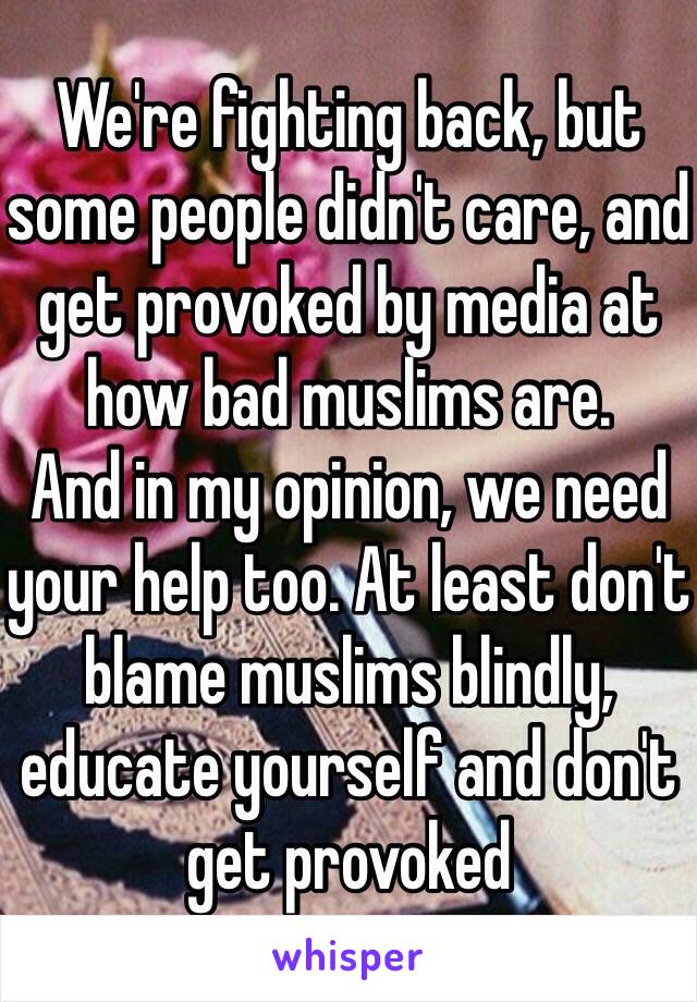 We're fighting back, but some people didn't care, and get provoked by media at how bad muslims are.
And in my opinion, we need your help too. At least don't blame muslims blindly, educate yourself and don't get provoked