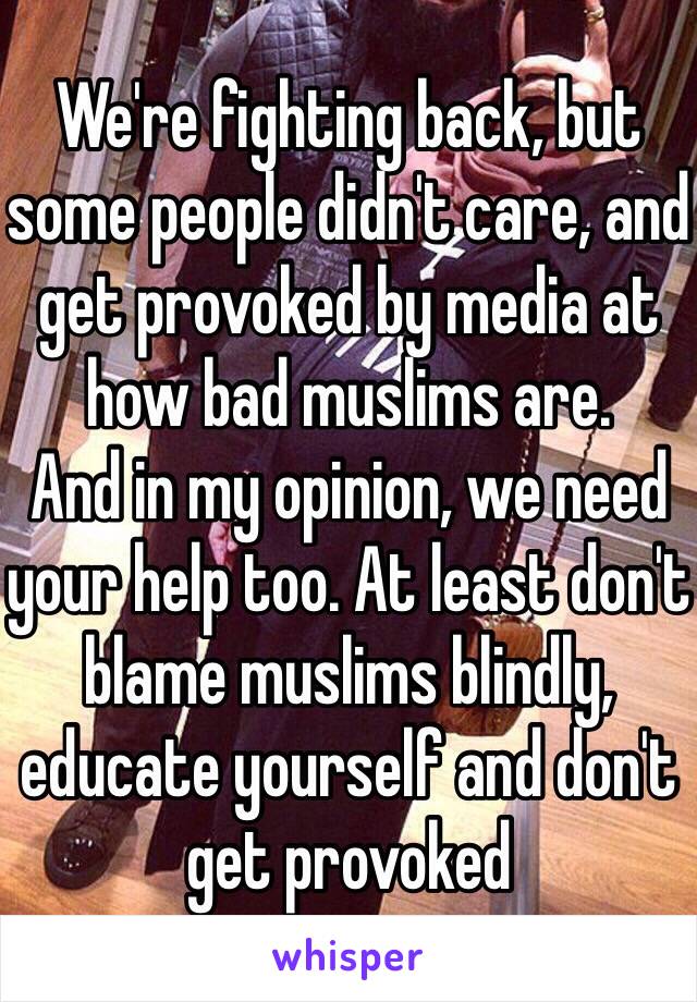 We're fighting back, but some people didn't care, and get provoked by media at how bad muslims are.
And in my opinion, we need your help too. At least don't blame muslims blindly, educate yourself and don't get provoked