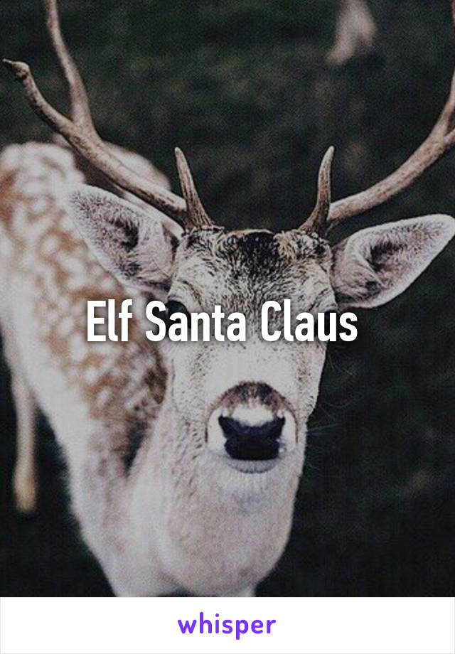 Elf Santa Claus 