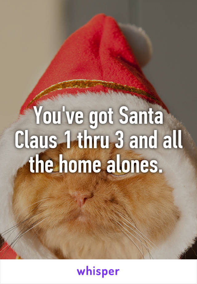 You've got Santa Claus 1 thru 3 and all the home alones. 