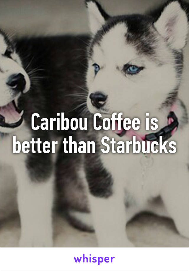 Caribou Coffee is better than Starbucks