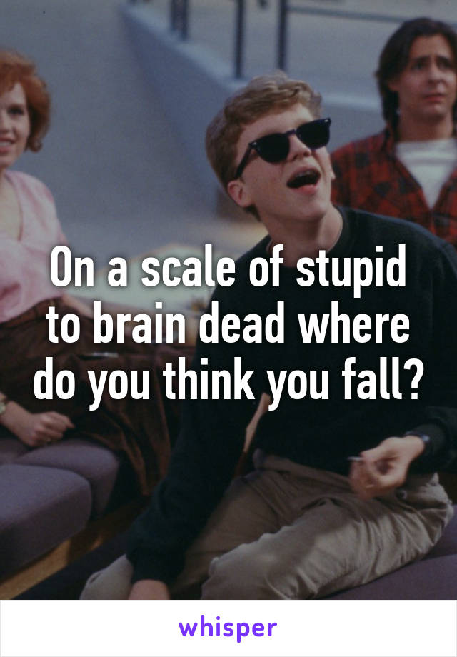 On a scale of stupid to brain dead where do you think you fall?