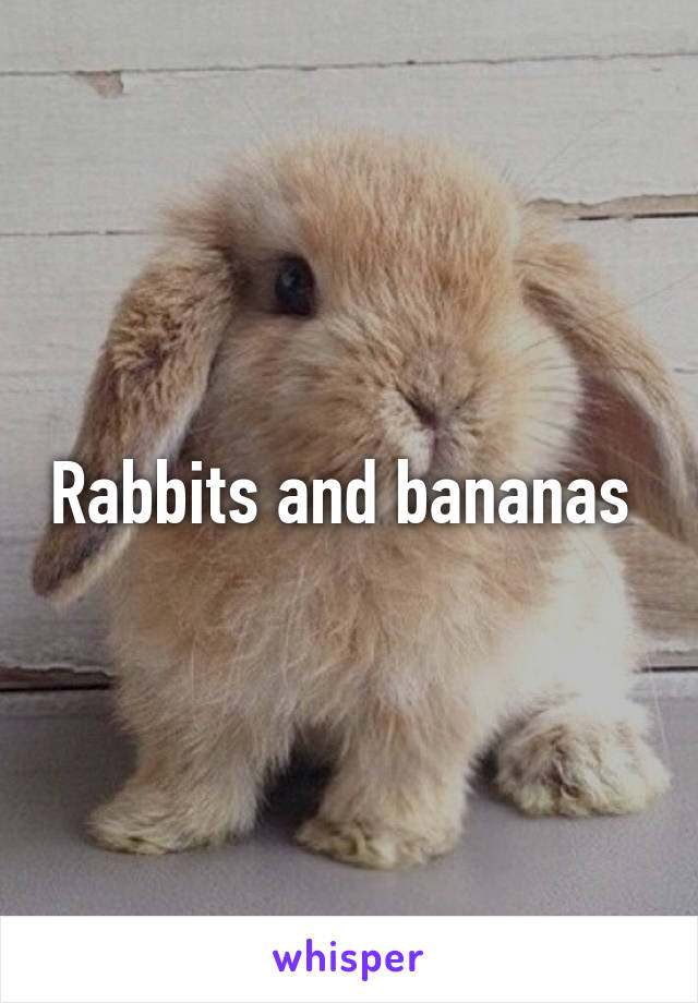 Rabbits and bananas 