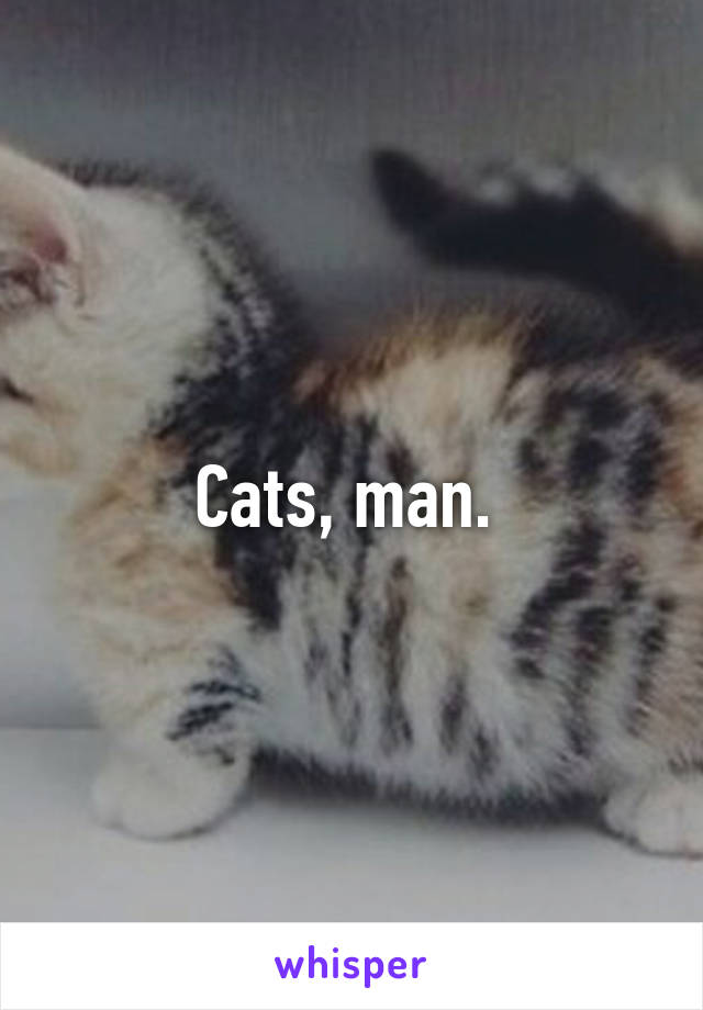 Cats, man. 