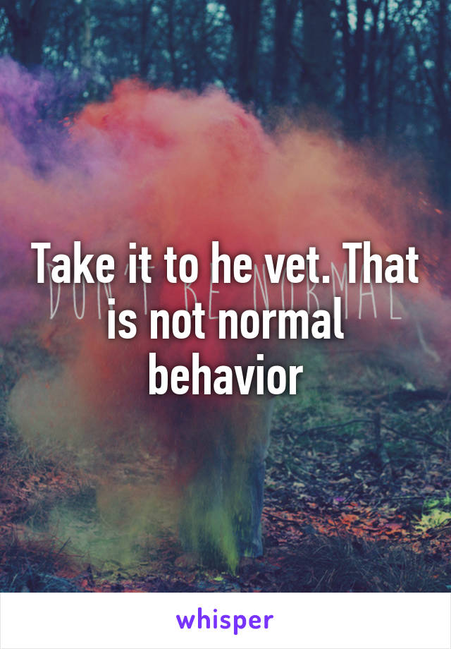 Take it to he vet. That is not normal behavior