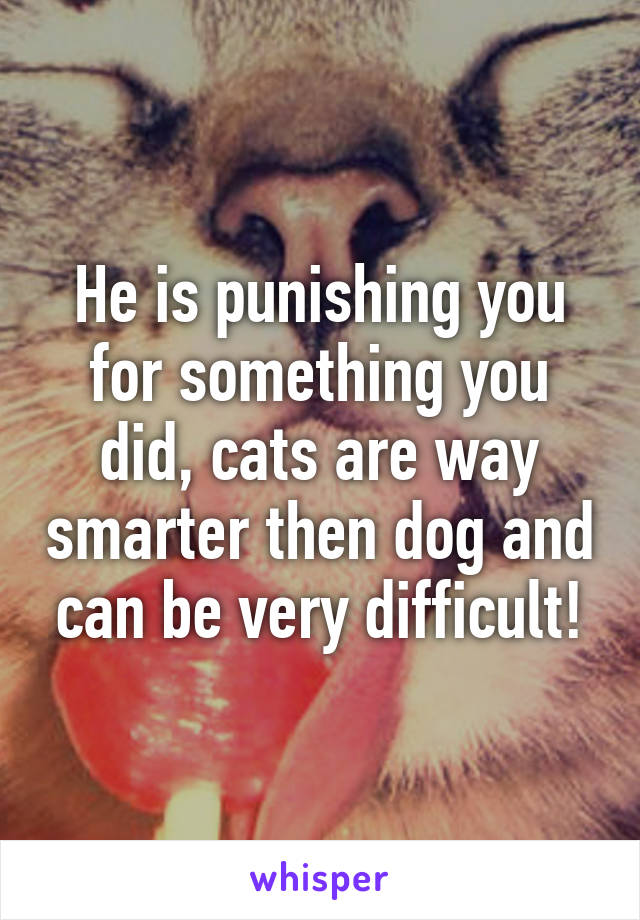 He is punishing you for something you did, cats are way smarter then dog and can be very difficult!