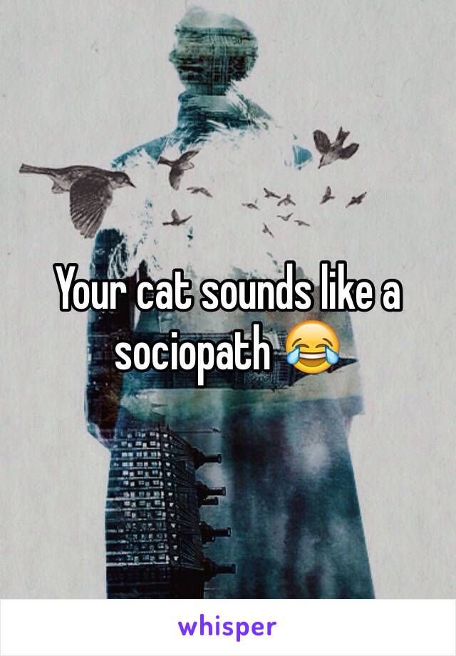 Your cat sounds like a sociopath 😂