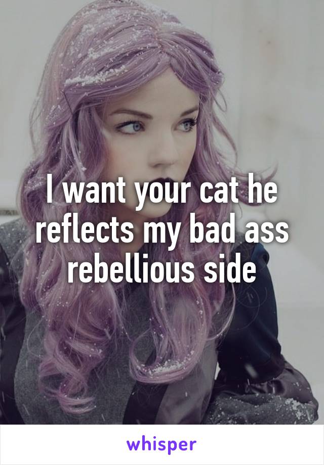 I want your cat he reflects my bad ass rebellious side