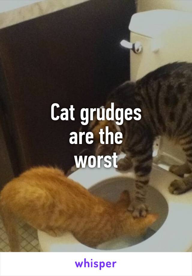 Cat grudges
are the
worst