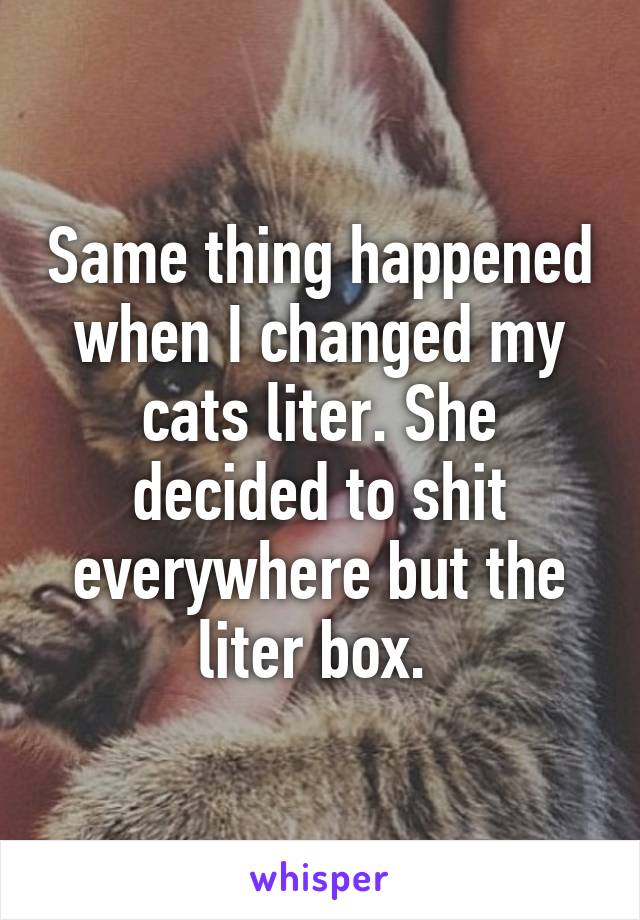 Same thing happened when I changed my cats liter. She decided to shit everywhere but the liter box. 