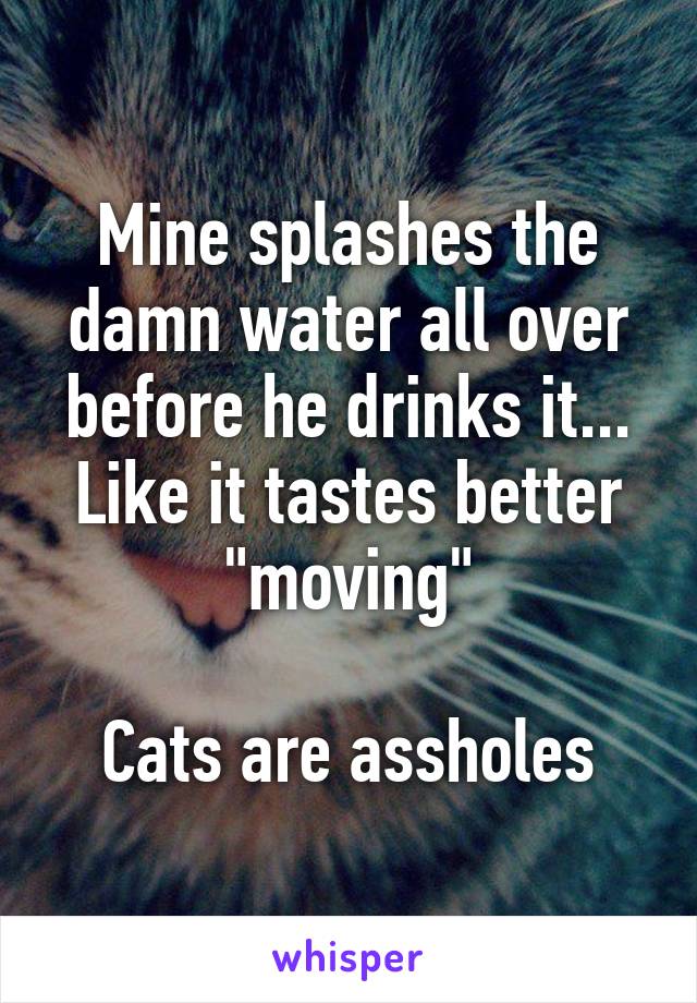 Mine splashes the damn water all over before he drinks it... Like it tastes better "moving"

Cats are assholes