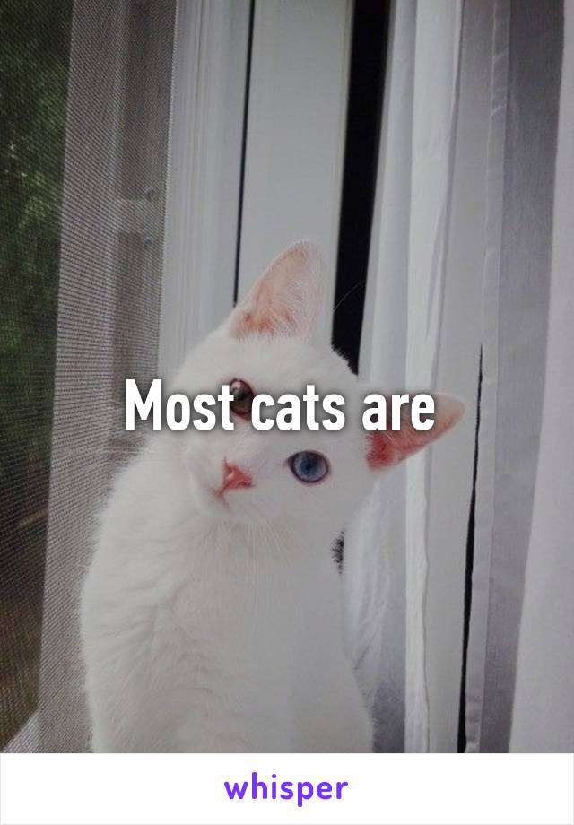 Most cats are 