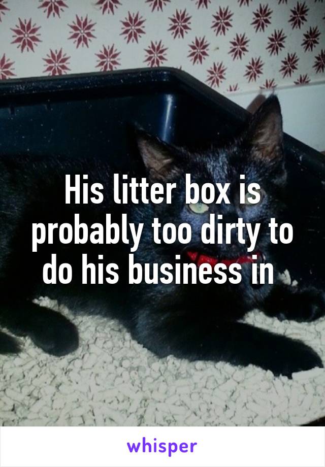 His litter box is probably too dirty to do his business in 