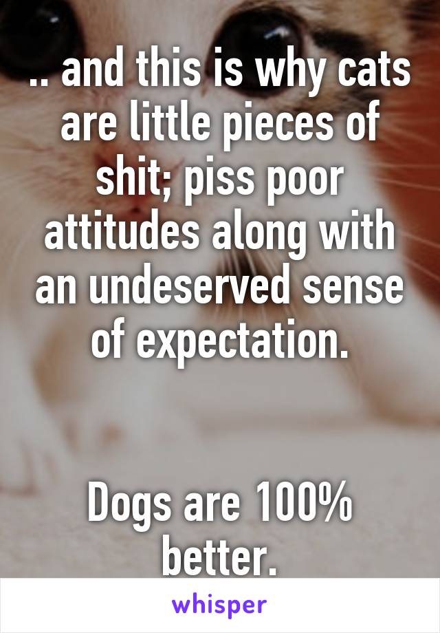 .. and this is why cats are little pieces of shit; piss poor attitudes along with an undeserved sense of expectation.


Dogs are 100% better.