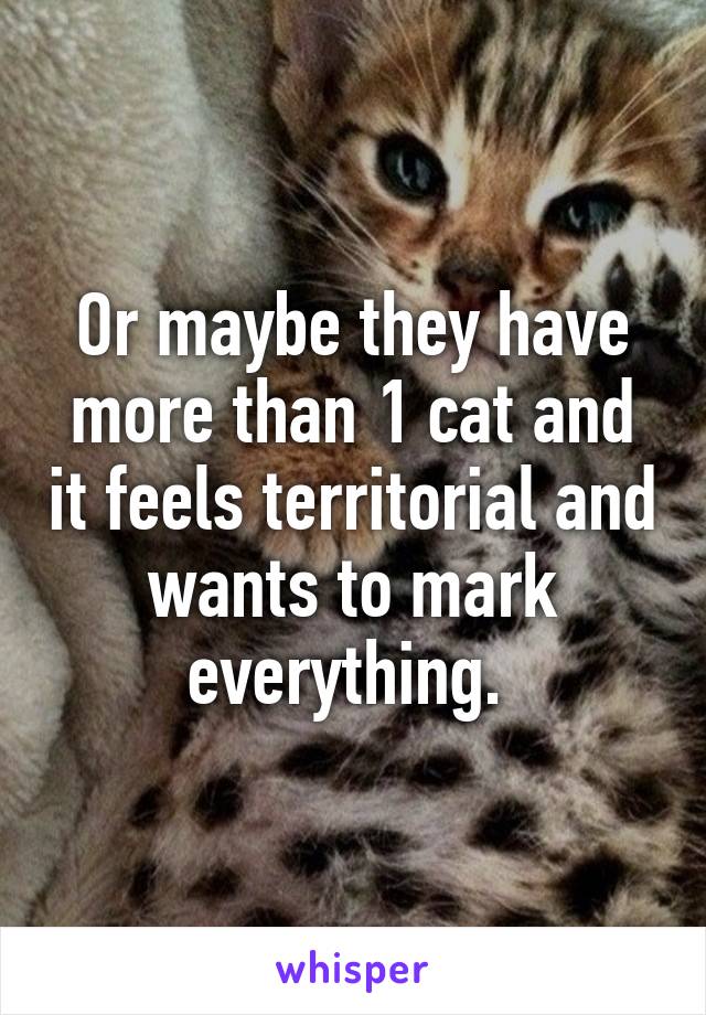 Or maybe they have more than 1 cat and it feels territorial and wants to mark everything. 