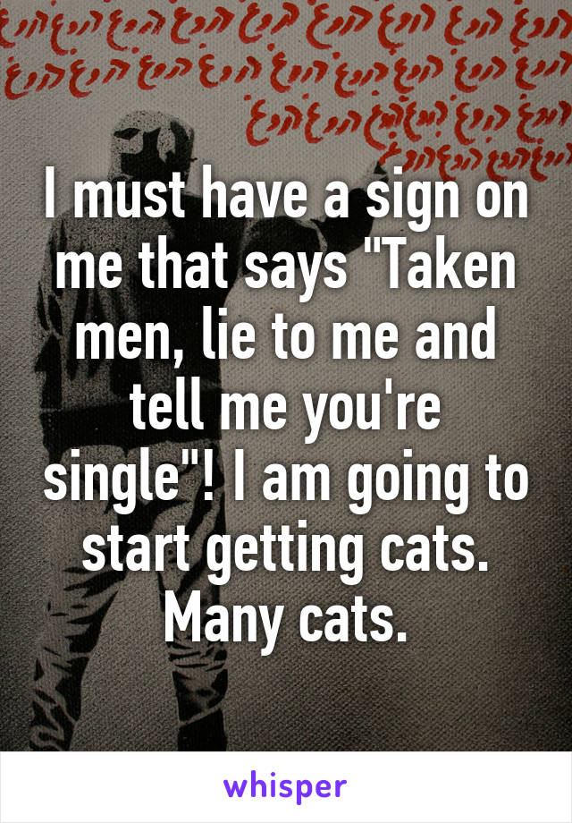 I must have a sign on me that says "Taken men, lie to me and tell me you're single"! I am going to start getting cats. Many cats.