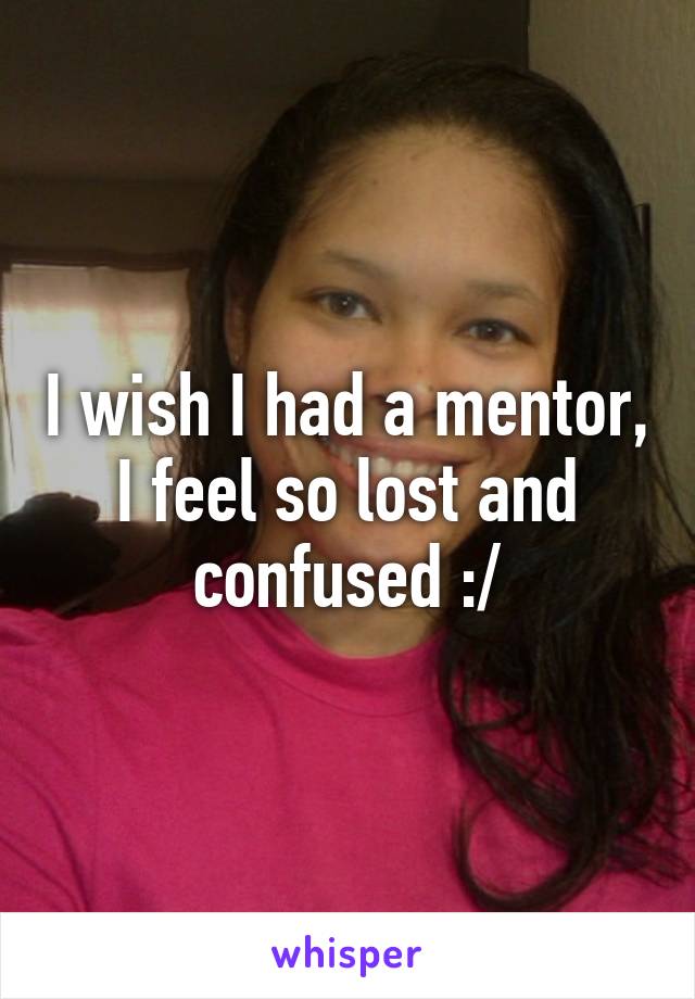 I wish I had a mentor, I feel so lost and confused :/
