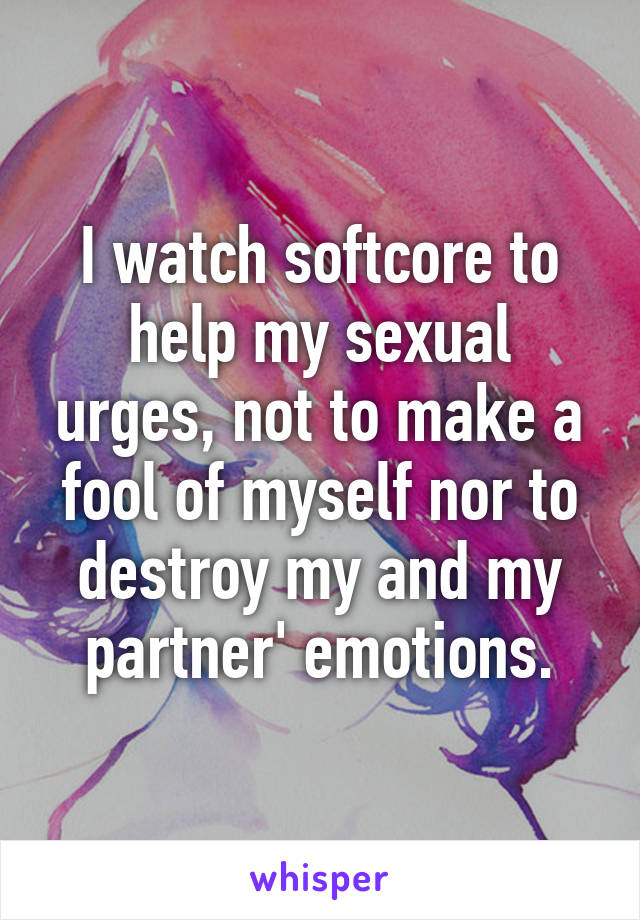 I watch softcore to help my sexual urges, not to make a fool of myself nor to destroy my and my partner' emotions.