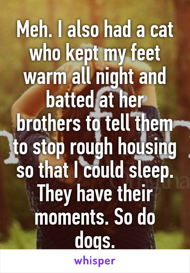 Meh. I also had a cat who kept my feet warm all night and batted at her brothers to tell them to stop rough housing so that I could sleep. They have their moments. So do dogs.