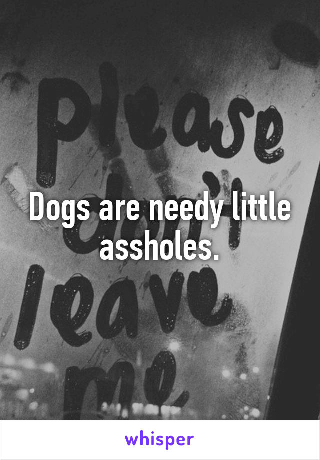 Dogs are needy little assholes.