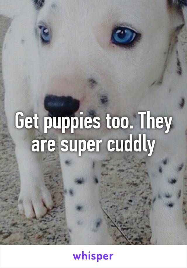 Get puppies too. They are super cuddly