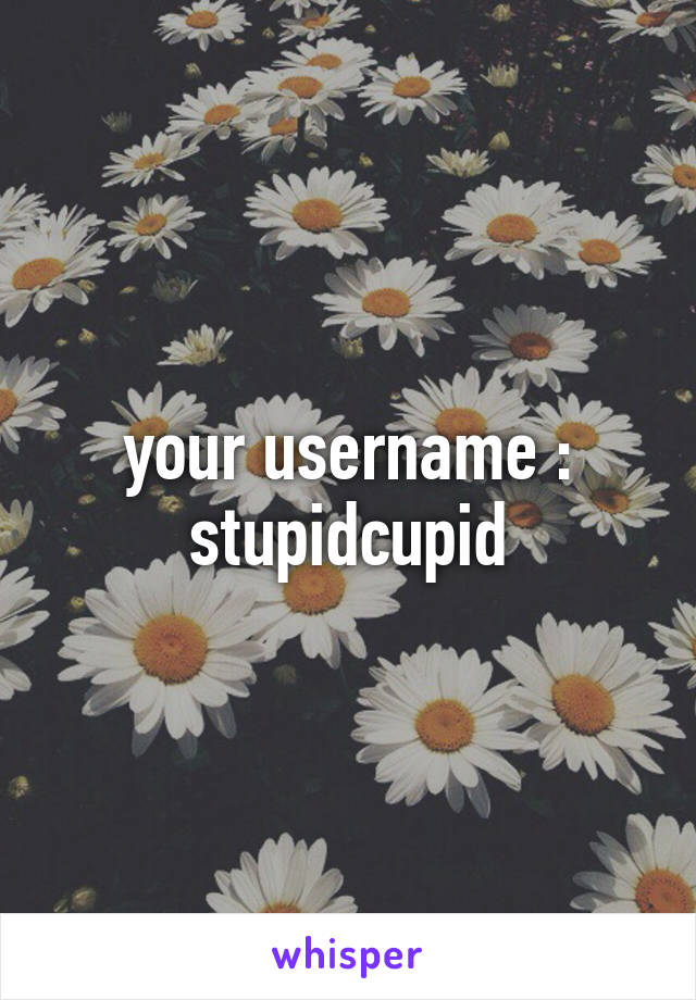 your username : stupidcupid