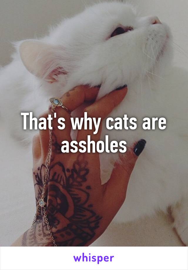 That's why cats are assholes