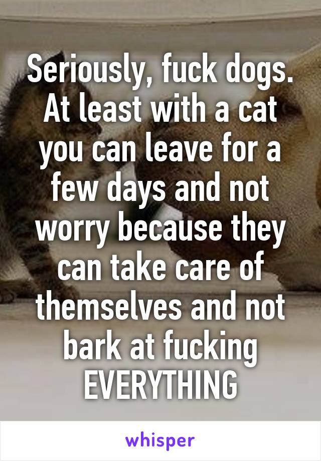 Seriously, fuck dogs. At least with a cat you can leave for a few days and not worry because they can take care of themselves and not bark at fucking EVERYTHING