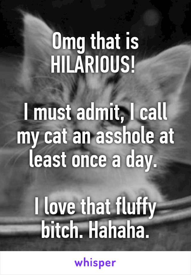 Omg that is HILARIOUS! 

I must admit, I call my cat an asshole at least once a day. 

I love that fluffy bitch. Hahaha.