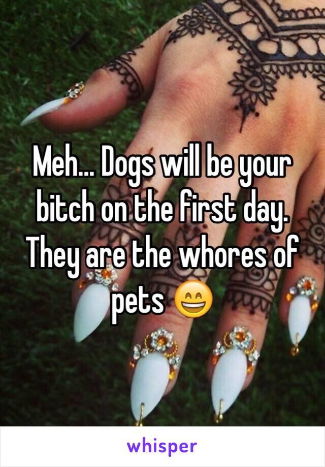 Meh... Dogs will be your bitch on the first day. They are the whores of pets 😄