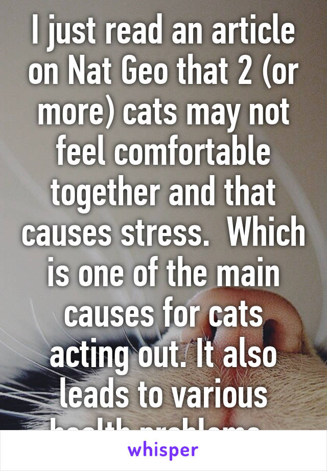 I just read an article on Nat Geo that 2 (or more) cats may not feel comfortable together and that causes stress.  Which is one of the main causes for cats acting out. It also leads to various health problems. 