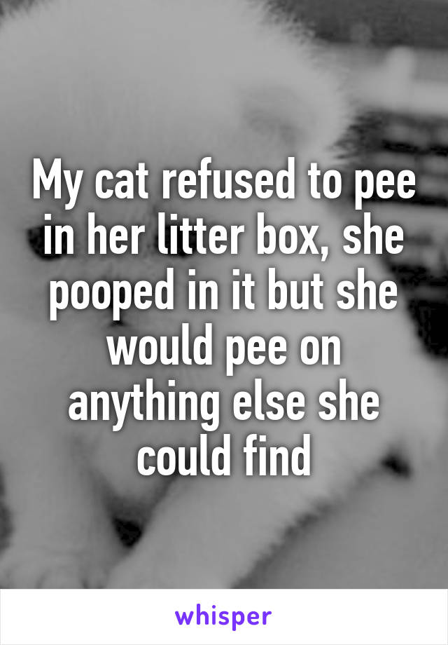 My cat refused to pee in her litter box, she pooped in it but she would pee on anything else she could find