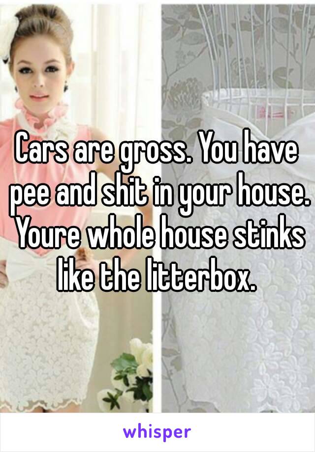 Cars are gross. You have pee and shit in your house. Youre whole house stinks like the litterbox. 