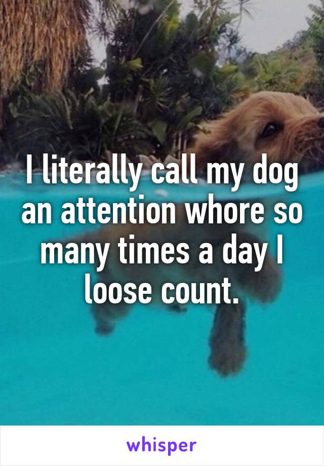 I literally call my dog an attention whore so many times a day I loose count.