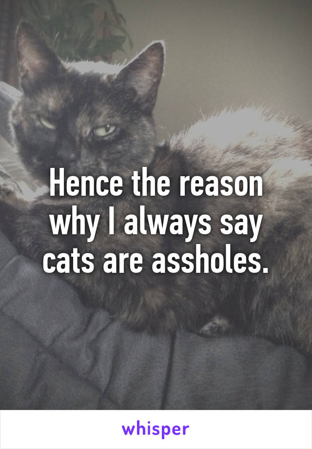 Hence the reason why I always say cats are assholes.