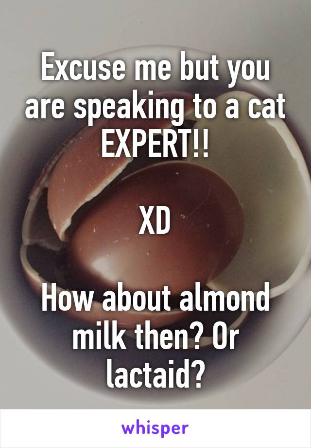 Excuse me but you are speaking to a cat EXPERT!!

XD

How about almond milk then? Or lactaid?