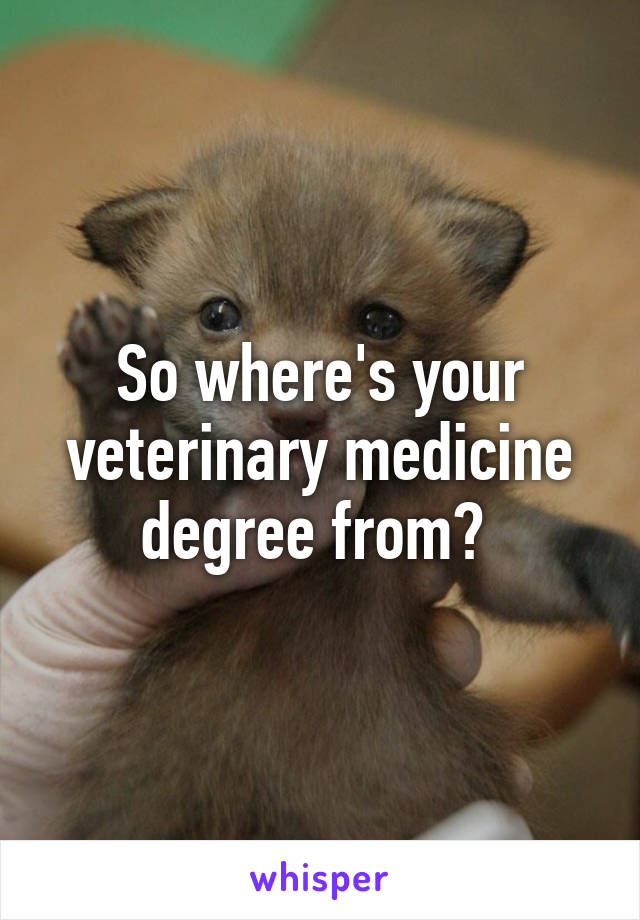 So where's your veterinary medicine degree from? 