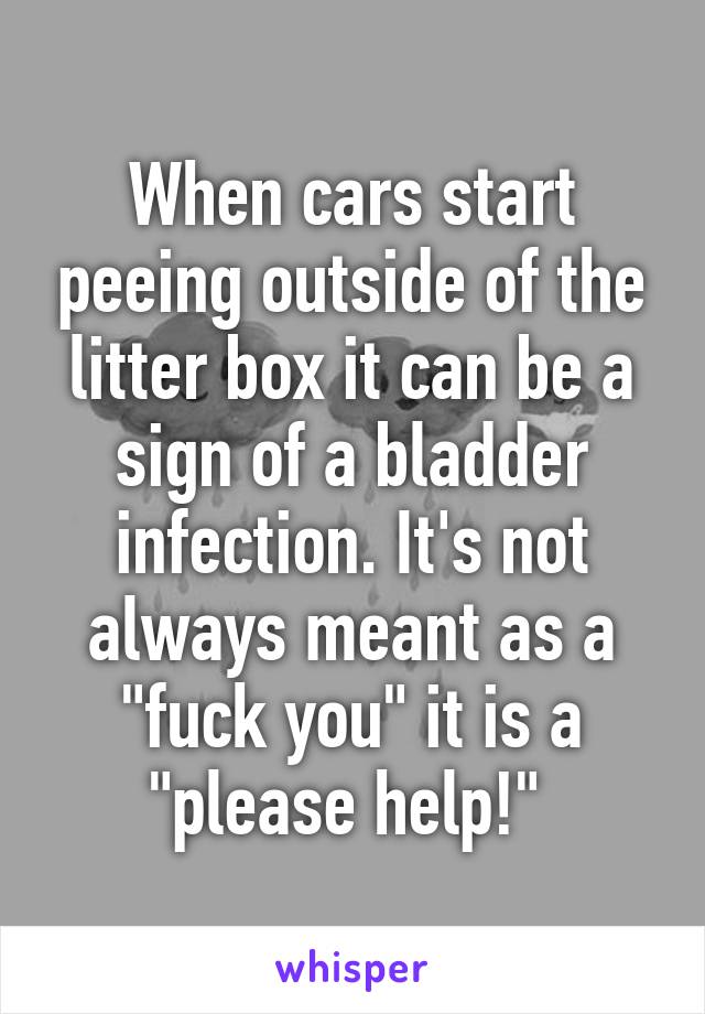 When cars start peeing outside of the litter box it can be a sign of a bladder infection. It's not always meant as a "fuck you" it is a "please help!" 