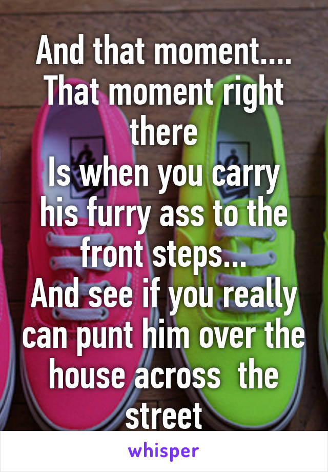 And that moment....
That moment right there
Is when you carry his furry ass to the front steps...
And see if you really can punt him over the house across  the street