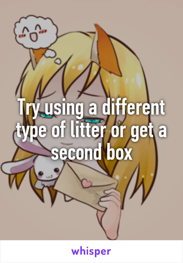Try using a different type of litter or get a second box