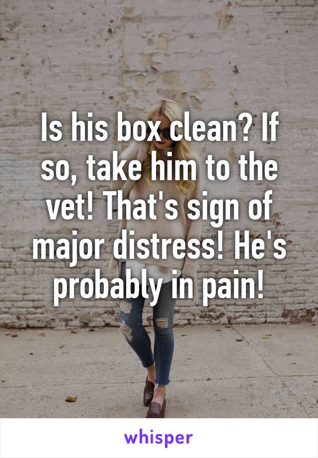 Is his box clean? If so, take him to the vet! That's sign of major distress! He's probably in pain!
