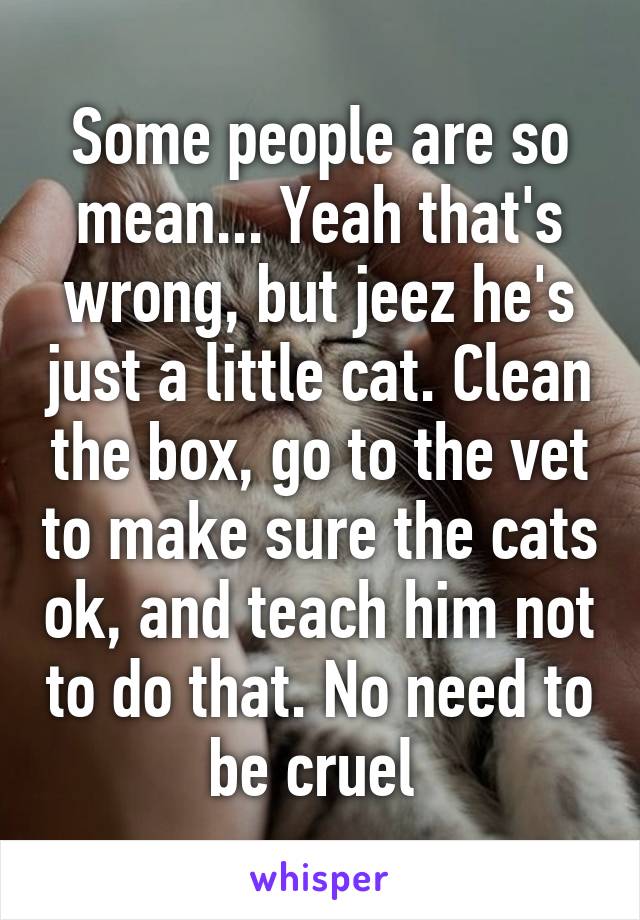 Some people are so mean... Yeah that's wrong, but jeez he's just a little cat. Clean the box, go to the vet to make sure the cats ok, and teach him not to do that. No need to be cruel 