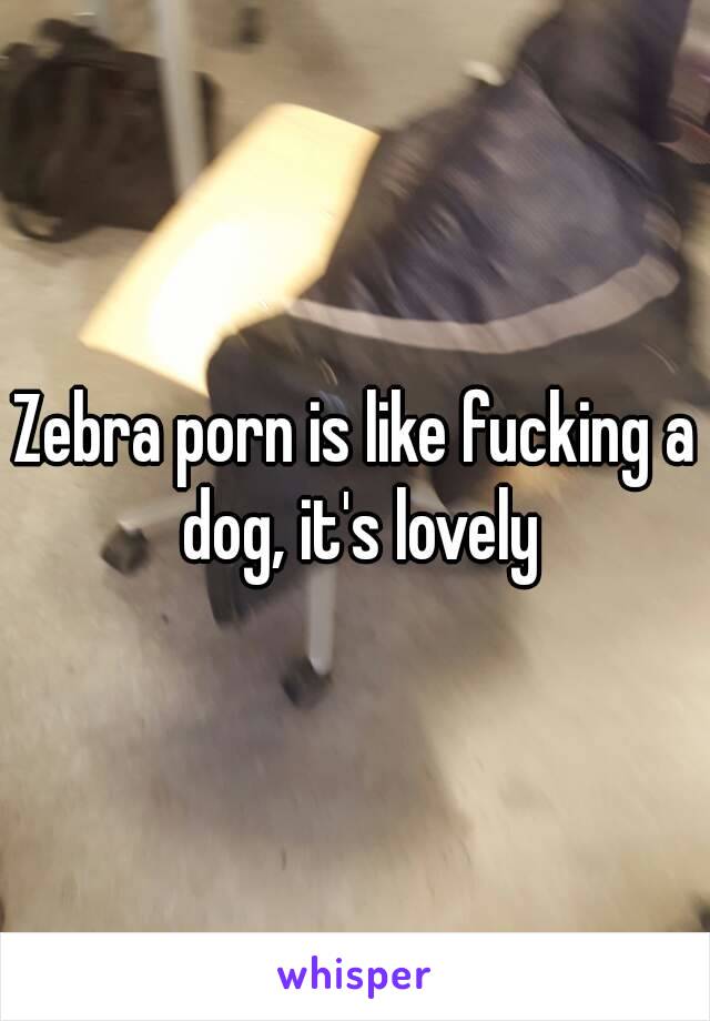Zebra porn is like fucking a dog, it's lovely