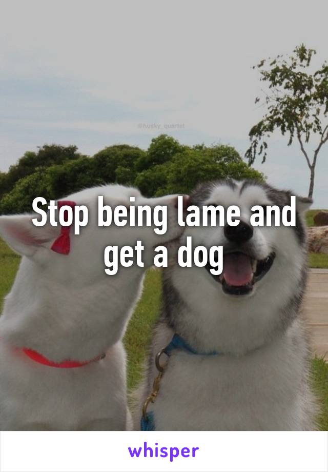 Stop being lame and get a dog