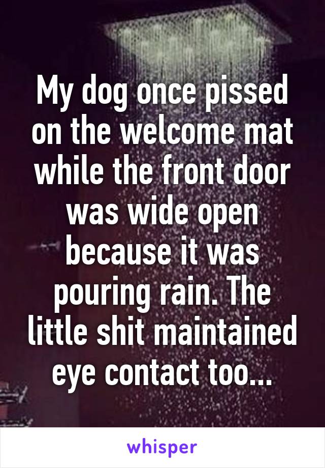 My dog once pissed on the welcome mat while the front door was wide open because it was pouring rain. The little shit maintained eye contact too...