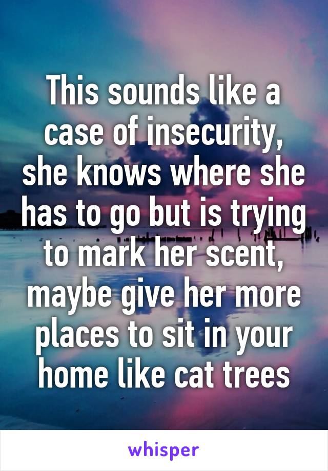This sounds like a case of insecurity, she knows where she has to go but is trying to mark her scent, maybe give her more places to sit in your home like cat trees
